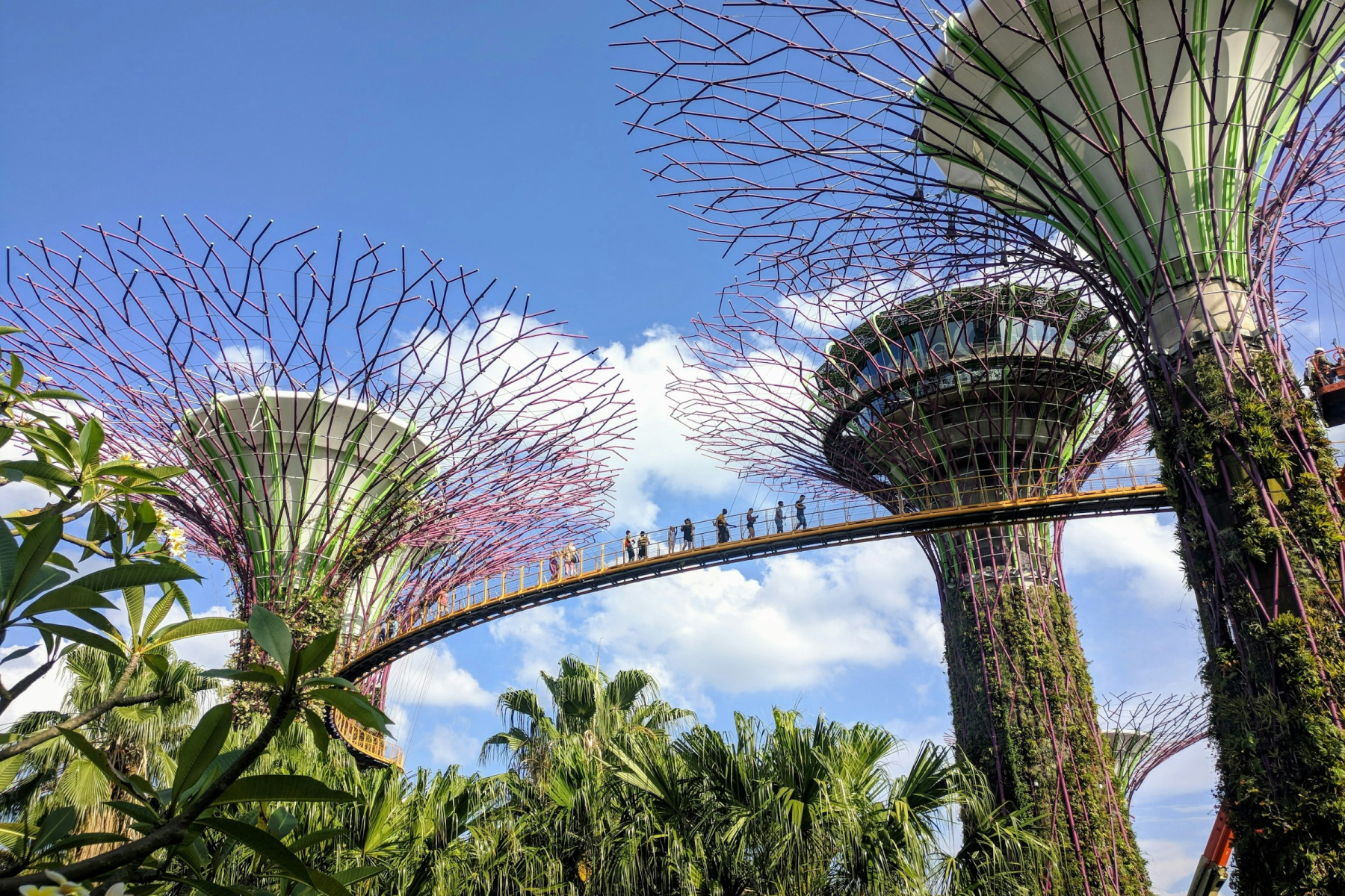 Gardens by the bay skyline
