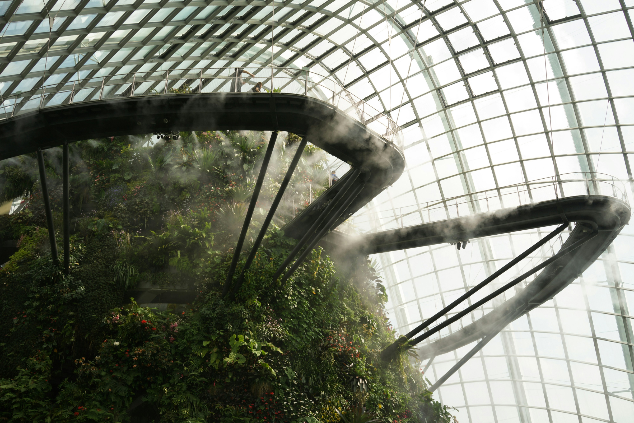Gardens by the bay